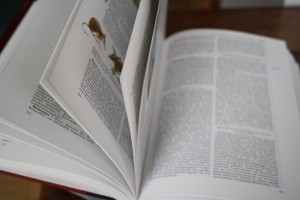 Das Große Formel 1 Lexikon