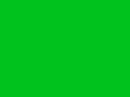 Grüne Flagge F1