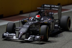 Adrian Sutil Team Sauber 2014 